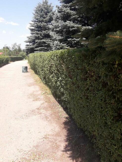 Usługi Ogrodnicze Ryszard Kocot