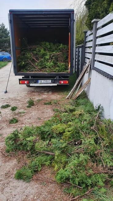 Usługi ogrodnicze przycinanie drzewek krzewów koszenie trawy