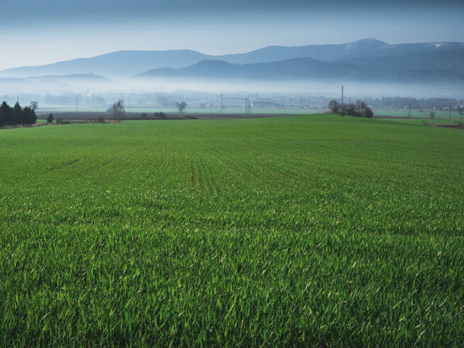Działka budowlana Karkonosze