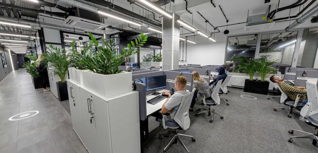 Wirtualny spacer Google Street View