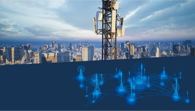 Investment Development Manager