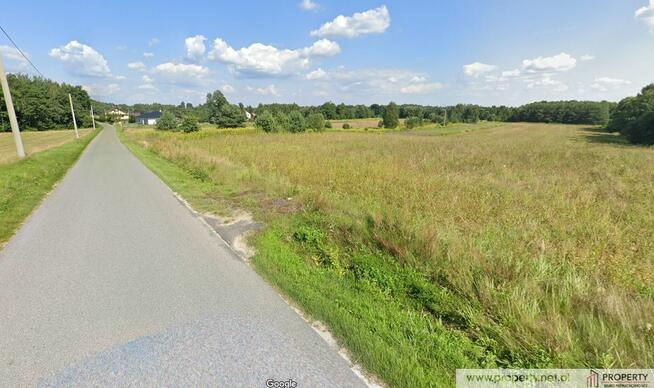 Działka 20 ar, Nagoszyn, gm. Żyraków