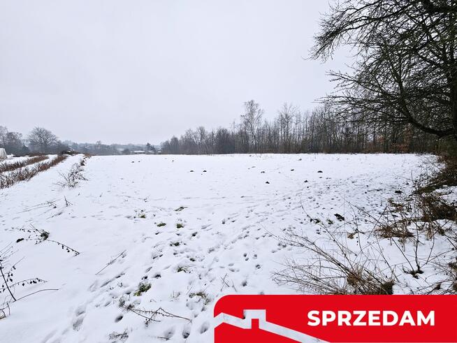 Drewniany dom z dużą działką - pole + sad + las