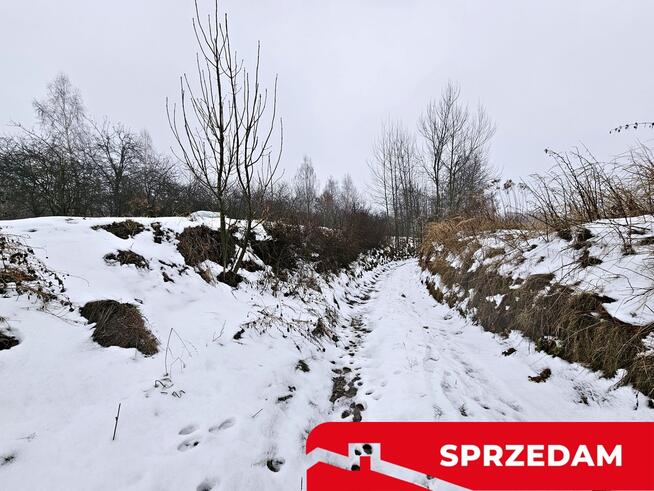 Drewniany dom z dużą działką - pole + sad + las