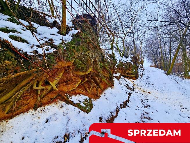 Drewniany dom z dużą działką - pole + sad + las