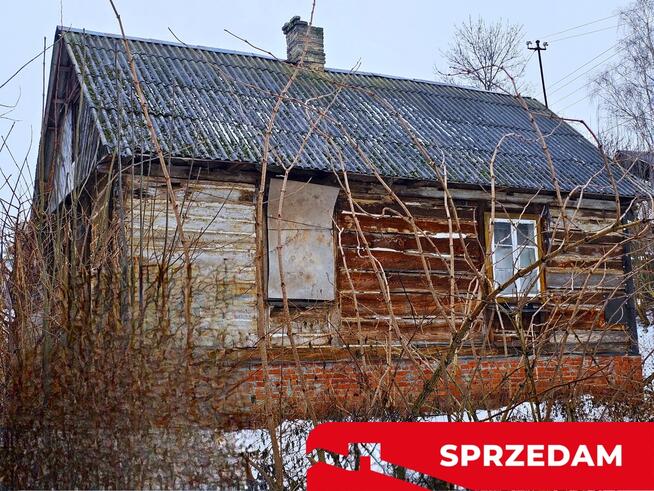 Drewniany dom z dużą działką - pole + sad + las