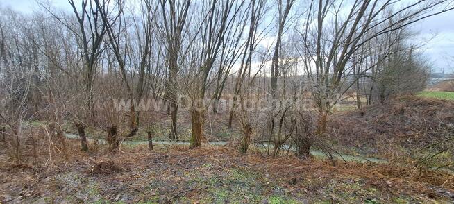 Działka rolna Damienice gm. Bochnia