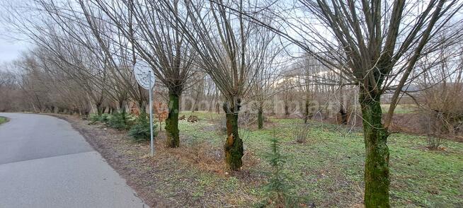 Działka rolna Damienice gm. Bochnia