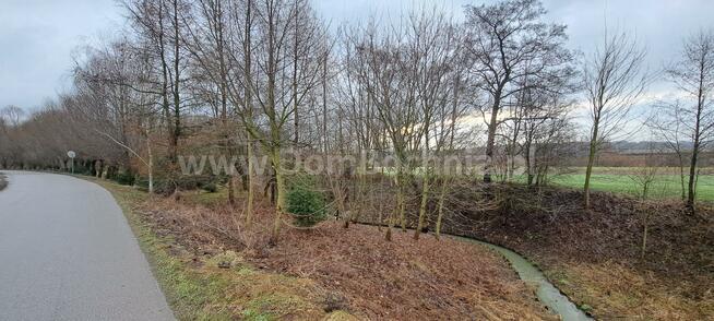 Działka rolna Damienice gm. Bochnia