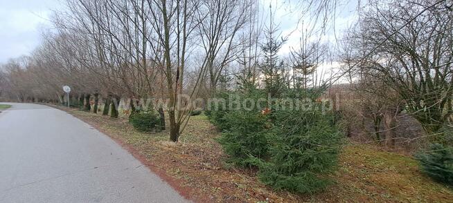 Działka rolna Damienice gm. Bochnia