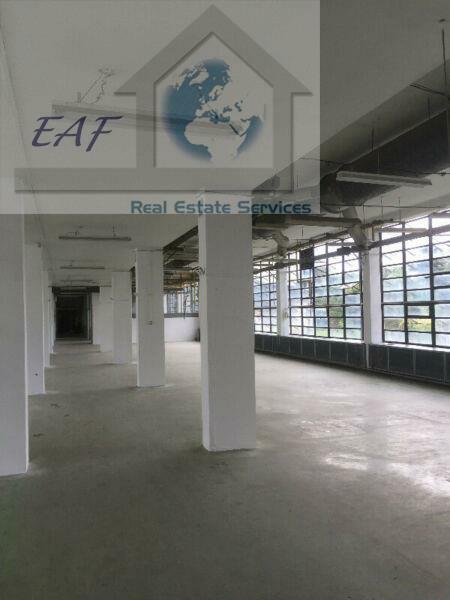 Lokal użytkowy Błonie