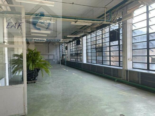 Lokal użytkowy Błonie