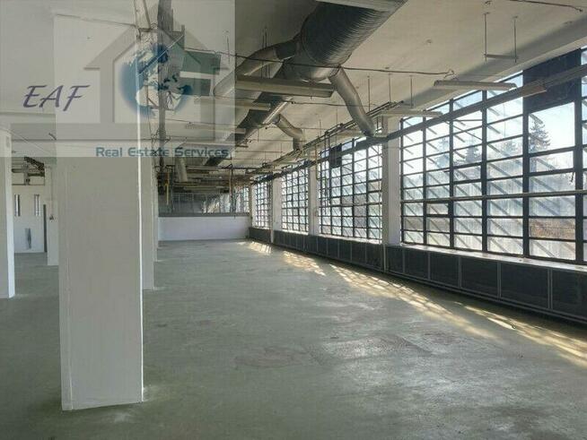 Lokal użytkowy Błonie