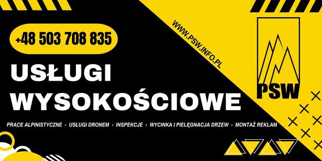 WYCINKA I PIELĘGNACJA DRZEW