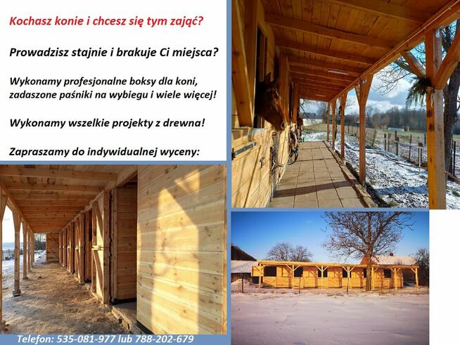 Dach, taras z drewna, stajnia, wiata na samochód