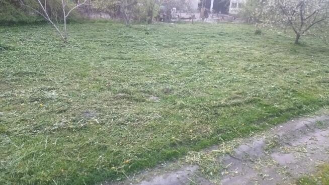 Działka wynajmę 1885 m2