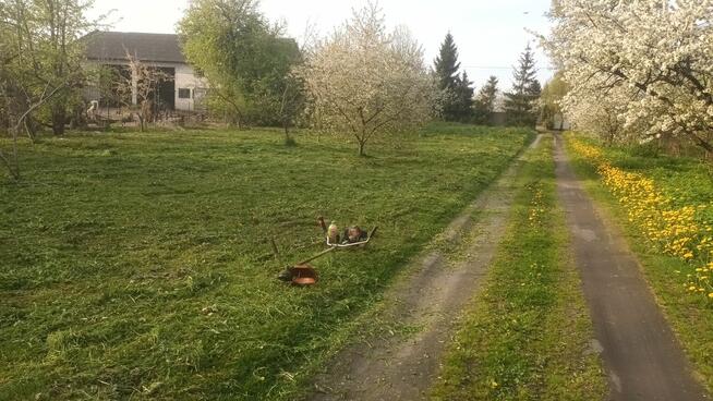 Działka wynajmę 1885 m2