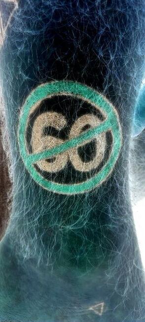 Poznam panią ze Szczecina