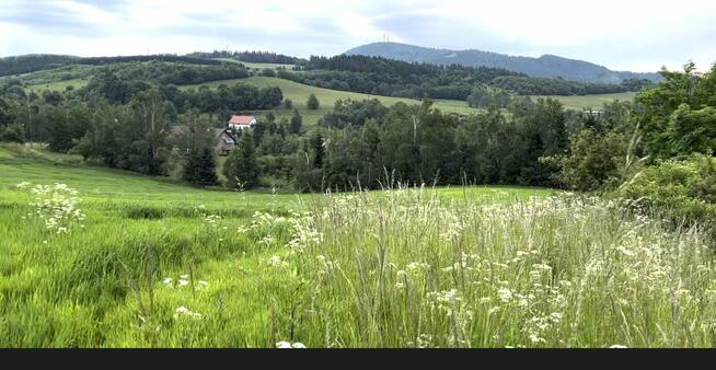 Sprzedam działki w Jabłowie