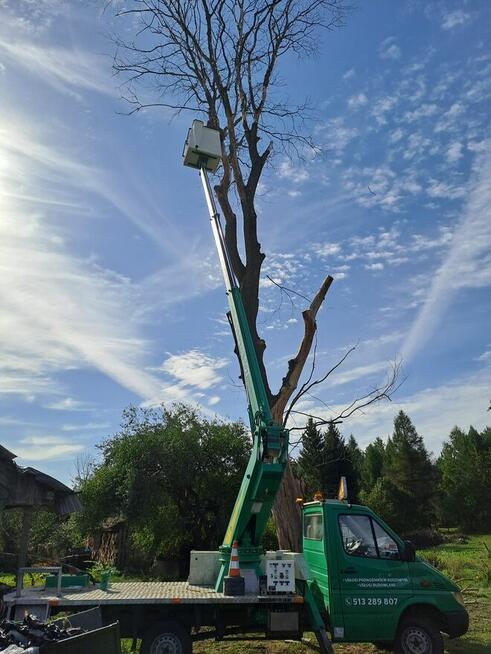 Podnośnik koszowy zwyżka mycie malowanie elewacji