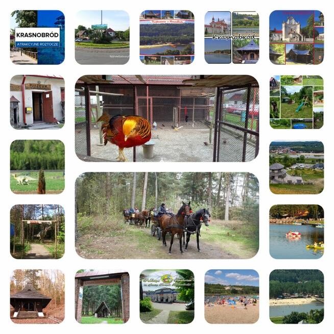 Noclegi Modrzewiowa 24