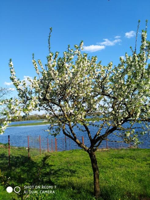 Sprzedam dom na polskiej ws