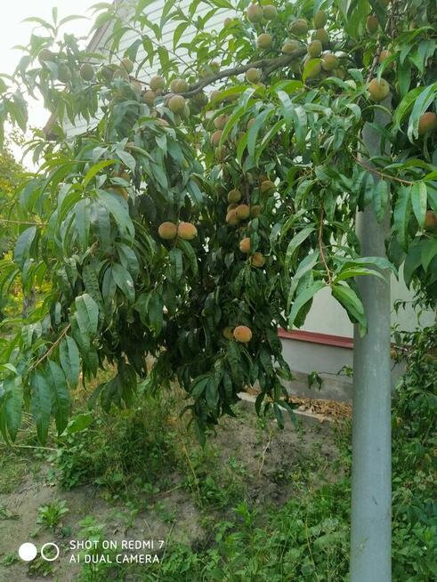 Sprzedam dom na polskiej ws