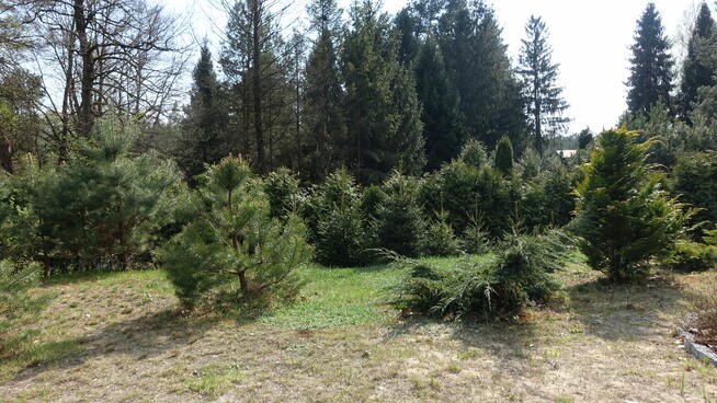 Domek w Radawie wolne terminy Radawa letniskowy