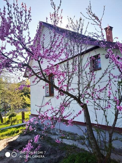 Sprzedam dom na polskiej ws