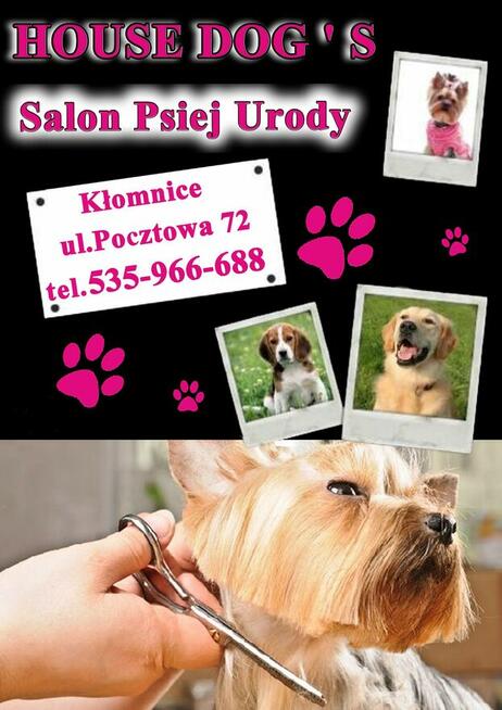Salon Psiej Urody: HOUSE DOG S