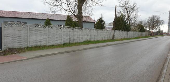Wynajmę