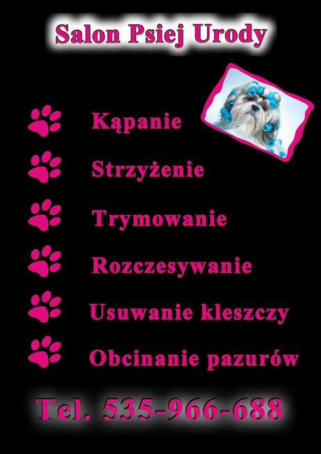 Salon Psiej Urody: HOUSE DOG S