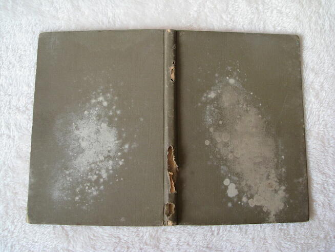 W Pieninach - Jan Jerzy Karpiński 1957r