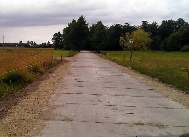 Dwie działki do inwestycji, Las liścias, Garki, gm. Odolanów