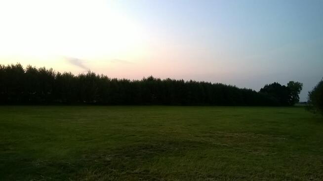 Dwie działki do inwestycji, Las liścias, Garki, gm. Odolanów