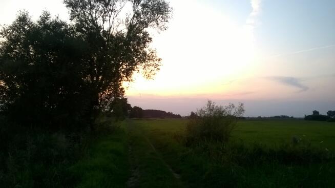 Dwie działki do inwestycji, Las liścias, Garki, gm. Odolanów