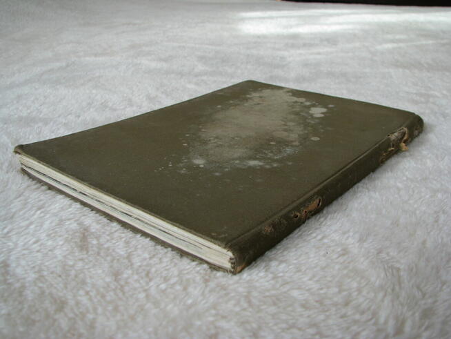 W Pieninach - Jan Jerzy Karpiński 1957r