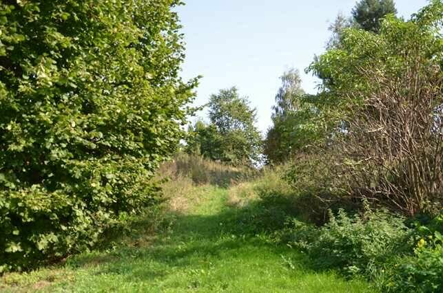 Dom z bali z działka 1800m2