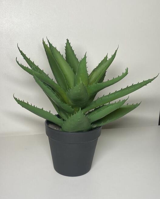 Jysk Ozdobna roślina sztuczna Aloes