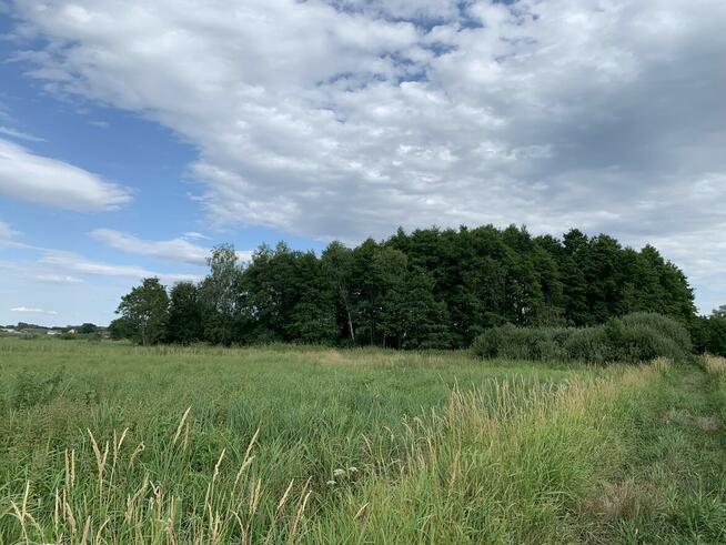 Dwie działki do inwestycji, Las liścias, Garki, gm. Odolanów