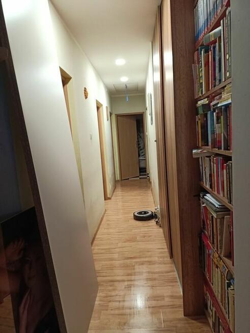 dom 120 m, duża działka z lasem