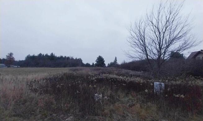 Działka na sprzedaż, Wola Morawicka, Morawica