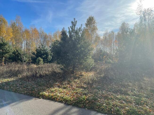 Działki Budowlane. Iwowe gm. Borowie. Powiat Garwoliński.