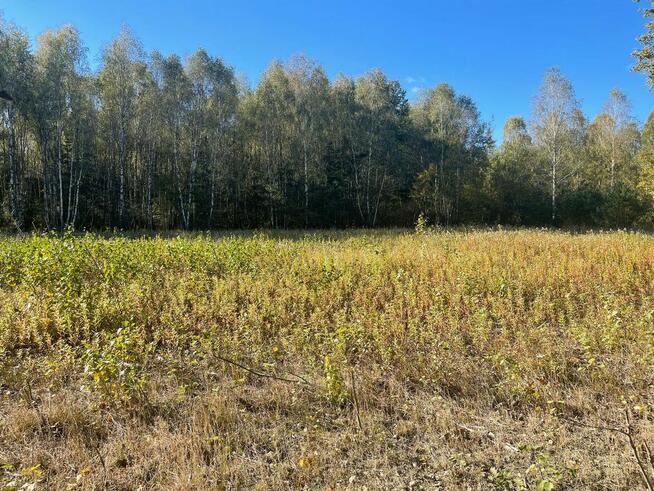 Budowlane Żabieniec gm. Parysów, przy granicy gm. Garwolin.