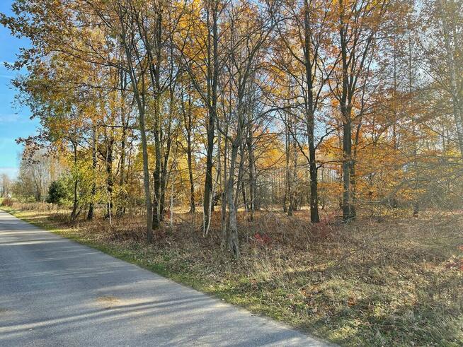 Działki Budowlane. Iwowe gm. Borowie. Powiat Garwoliński.