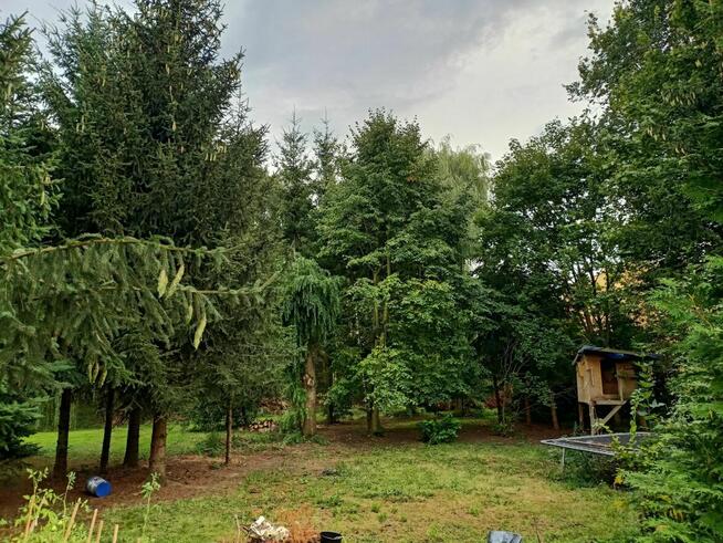 dom 120 m, duża działka z lasem