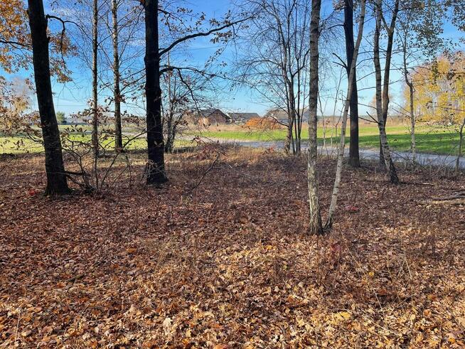 Działki Budowlane. Iwowe gm. Borowie. Powiat Garwoliński.