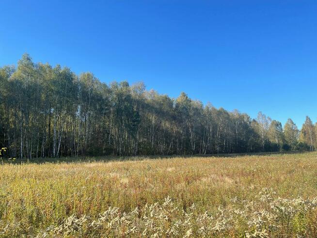 Budowlane Żabieniec gm. Parysów, przy granicy gm. Garwolin.