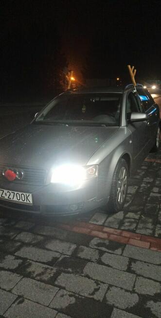 Szukam żonę i kobietę na stałe