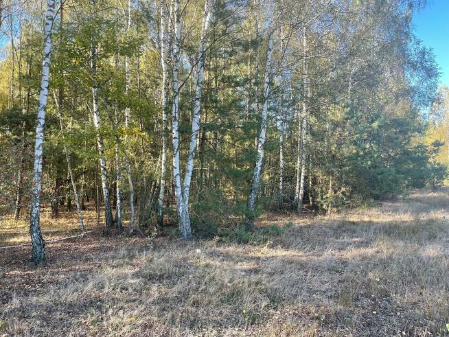 Budowlane Żabieniec gm. Parysów, przy granicy gm. Garwolin.